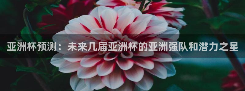2026世界杯足球赛程时间表:亚洲杯预测:未来几届亚洲杯的亚洲强队和潜力之星