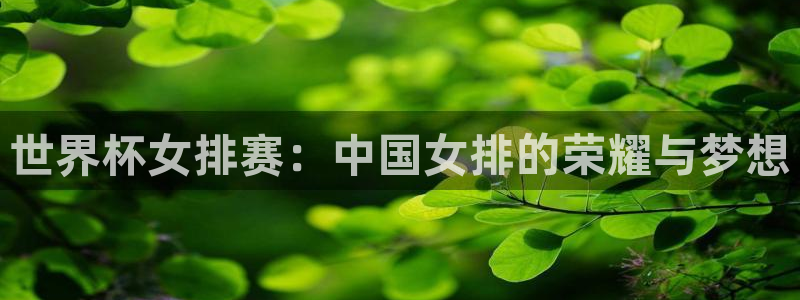 世界杯预选赛亚洲区积分榜:世界杯女排赛:中国女排的荣耀与梦想