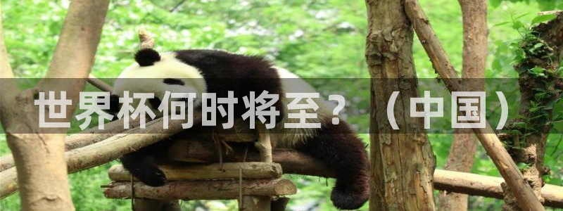 世界杯对阵表:世界杯何时将至?(中国)