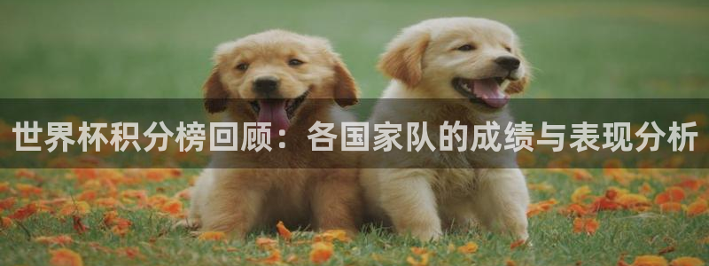 世界杯亚洲区预选赛积分榜:世界杯积分榜回顾:各国家队的成绩与表现分析