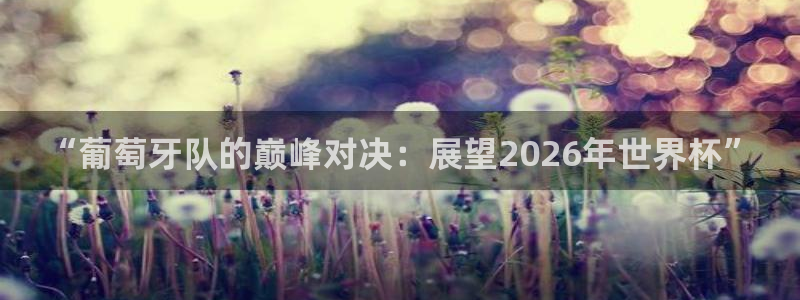 2026足球世界杯赛程时间表:“葡萄牙队的巅峰对决:展望2026年世界杯”