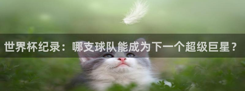 葡萄牙世界杯赛程:世界杯纪录:哪支球队能成为下一个超级巨星?