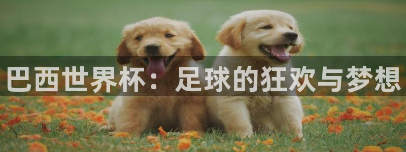 世界杯预选赛亚洲:巴西世界杯:足球的狂欢与梦想