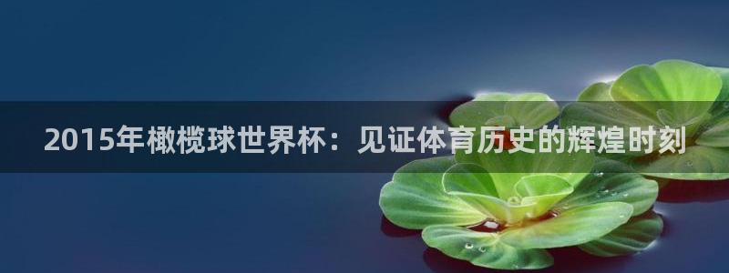 世界杯直播在线观看入口:2015年橄榄球世界杯:见证体育历史的辉煌时刻