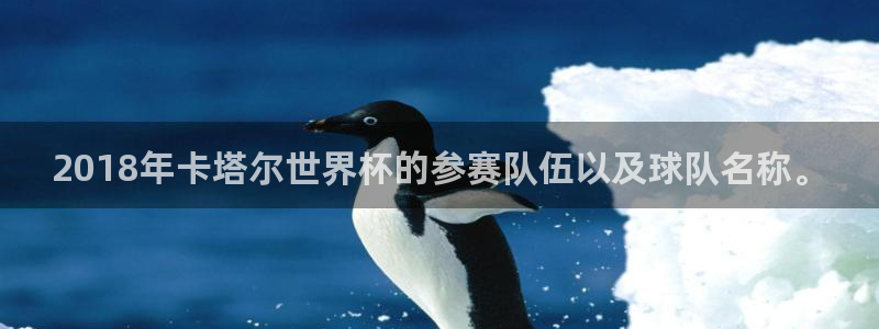 世界杯预选赛2026:2018年卡塔尔世界杯的参赛队伍以及球队名称。