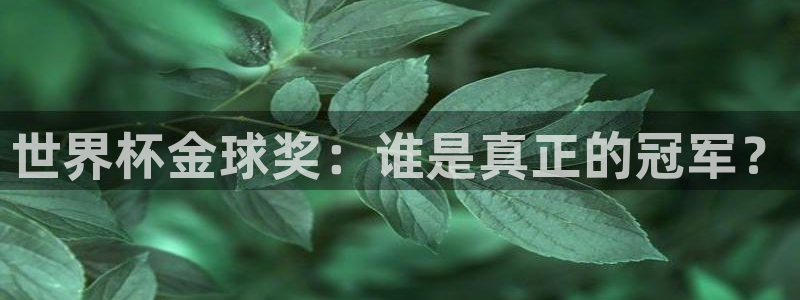 今天所有足球赛程表:世界杯金球奖:谁是真正的冠军?