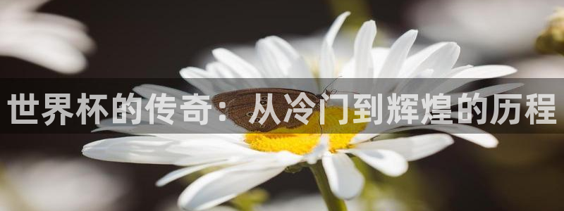 世界杯在线直播:世界杯的传奇:从冷门到辉煌的历程